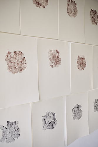 expositions | je-me-souviens | &copy; patrice de Santa Coloma